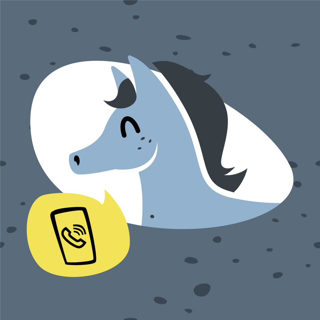 Illustration pour le catalogue de chevaux Sleipny.com